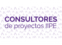 Consultores IIPE